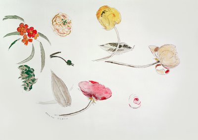 Blumenstudie von Odilon Redon